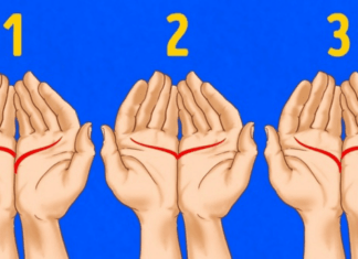 Here is what your palms can tell you about your love life