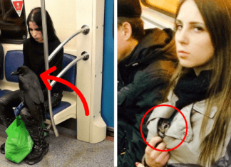 20 Most Weirdest Sights on Subway train