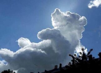 Stunning Natural Phenomena Caught on Camera!