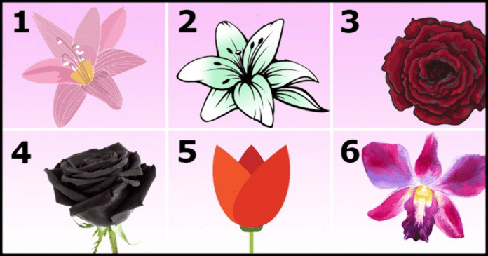 06fb86fc282f611c172f6645a337212e_800x420