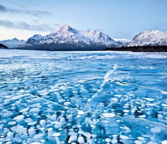 10 Best Striking Photos That Had Not Been Photoshopped