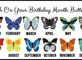 Check what your birth month butterflies tells about you