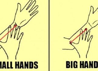 What your hand size reveal about your personality