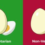 Is Egg Vegetarian or Non-Vegetarian?