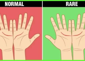 Secretes of Palmistry: Here’s what each line on hand reveals