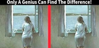 Test Your Intelligence