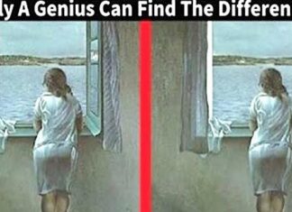 Spot The Difference Challenge To Test Your Intelligence. Test Your Intelligence