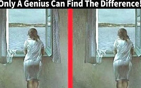Test Your Intelligence