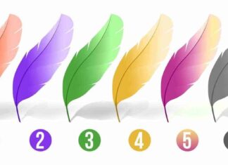 Choose a feather and know your persoality traits!