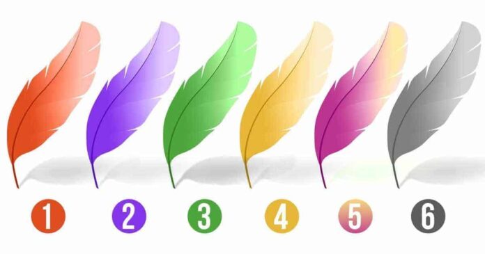 Choosing-One-Feather-Reveals-Your-Personality