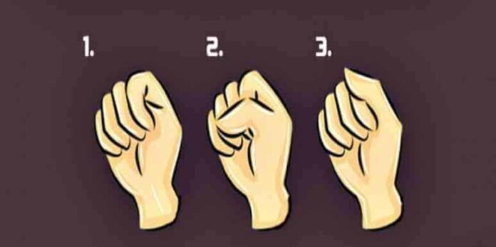 -fist1_0