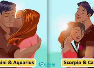 Perfect Zodiac Matches