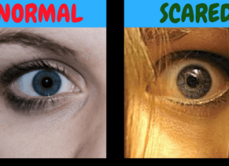 5 Unknown Body Facts