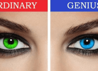 Smart People Show these traits. How many among them do you possess?