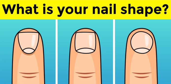 Your Nail shape can tell about your personality