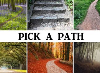 Your Future Lies Hidden In The Path You Choose.