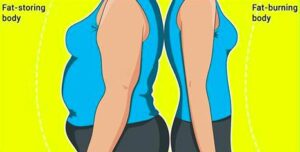 Best exercises to reduce belly fat.