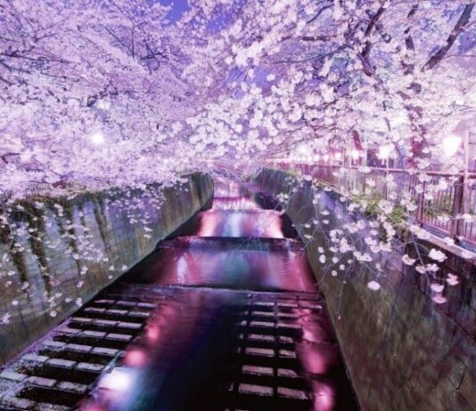 Places In Tokyo For Your Romantic Getaway