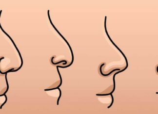 Your Personality Based On The Shape Of Your Nose