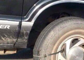 Sapien Lorem Libero Augue Tincidunt