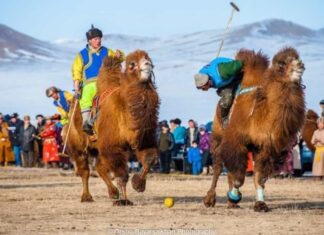 A super effective egg and cucumber weight loss diet!