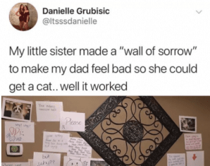 7 Best Game Changing Tips For Your Hair To Simplify Your Life