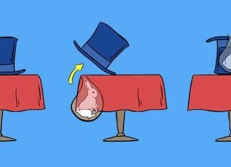 Here is How These Magic Tricks are Done