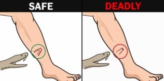 Here are 12 simple life hacks to save you from the fix