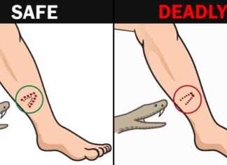 Here are 12 simple life hacks to save you from the fix