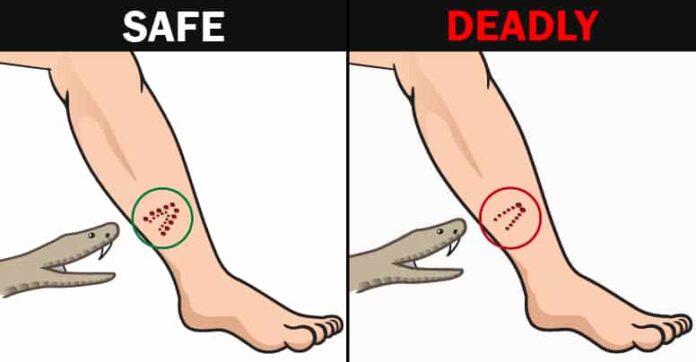 Here are 12 simple life hacks to save you from the fix Here are 12 simple life hacks to save you from the fix