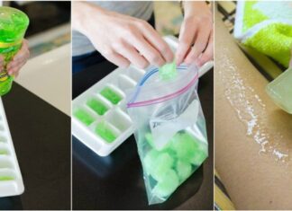 BEAUTY-HACKS WITH ALOE VERA