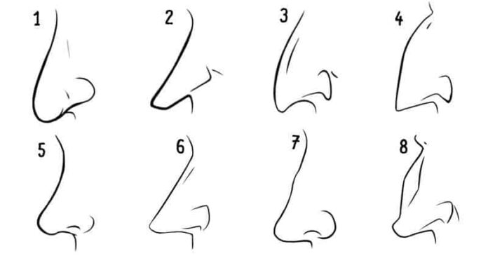 6cf8822a746cce632e07c5f4775de89e_800_420