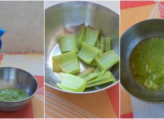Aloe Vera And Coconut Oil  Remedy For damaged Hair