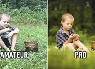 Here’s How It Looks When a Professional Clicks Other Than an Average Person