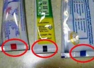 Are You Also Curious To Know About Your Toothpaste?