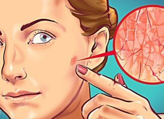 DIY vs Professional, which to choose?