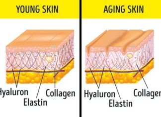 Some Supplements That Are Way Too Effective And Cheaper Than Any Anti-wrinkle Cream