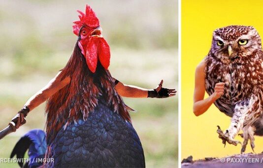 WHEN BIRDS GET HUMAN ARMS!! ALL THANKS TO THE TECHNOLOGY.