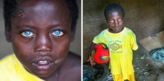 How do you define beauty?