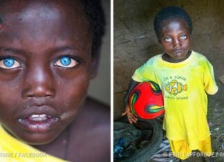 How do you define beauty?