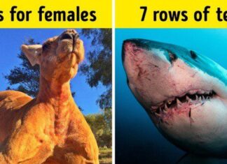 Are you scared of these natural truths? See for yourself!