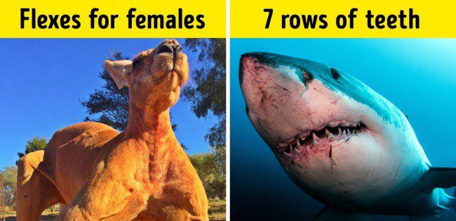 Are you scared of these natural truths? See for yourself! Are you scared of these natural truths? See for yourself!