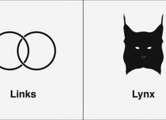 Links, Lynx