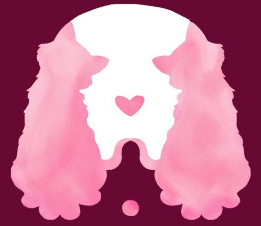 Find What Is Important For You In Love