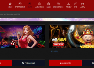 WHAT ARE INSTANT PLAY CASINOS