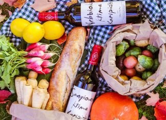 Perfect Pairing: 7 Excellent Red Wines and What to Pair with it Excellent Red Wines