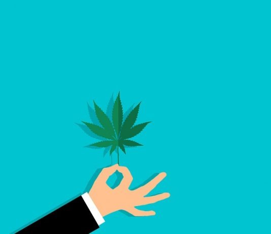 CBD for Athletes: 5 Cool Facts You Should Know