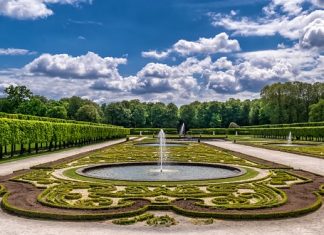 The importance of green space in big cities