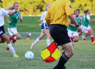 Sports that Continue to Dominate the Industry