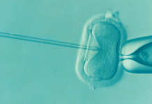 IVF treatment in Turkey